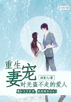 重生宠妻:时光盗不走的爱人
