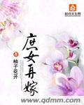 庶女再嫁