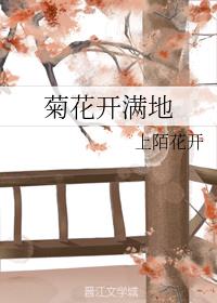 ����ǰ��