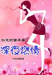 燃情宝宝:冰总的替孕妻
